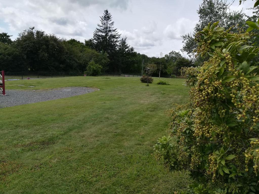 Appart d'hôtes au naturel photo 4