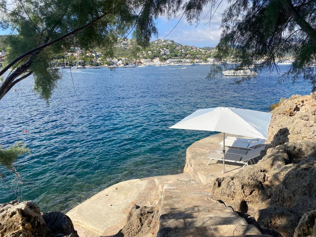 Villa La Mola photo 4