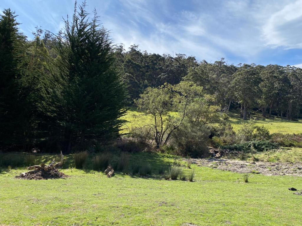 Little Pardalote Tiny Home Bruny Island photo 3