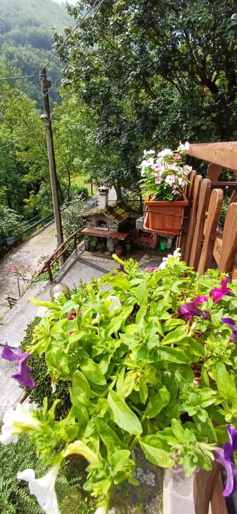 Casa ai Faggi photo 2