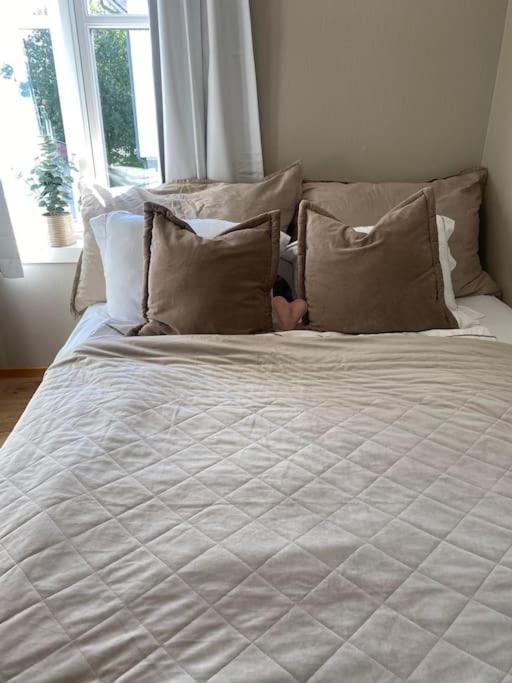 Mycondo no - Snorres gt 4b apt 2 - Gratis parkering photo 1