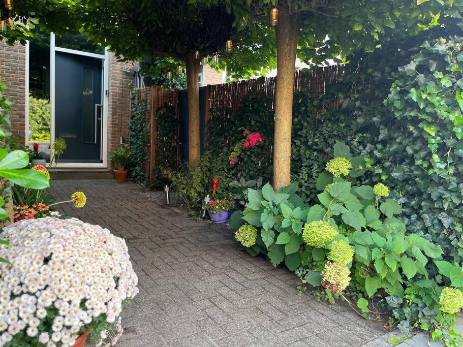 Nieuw! The West Wing Bloemendaal photo 3
