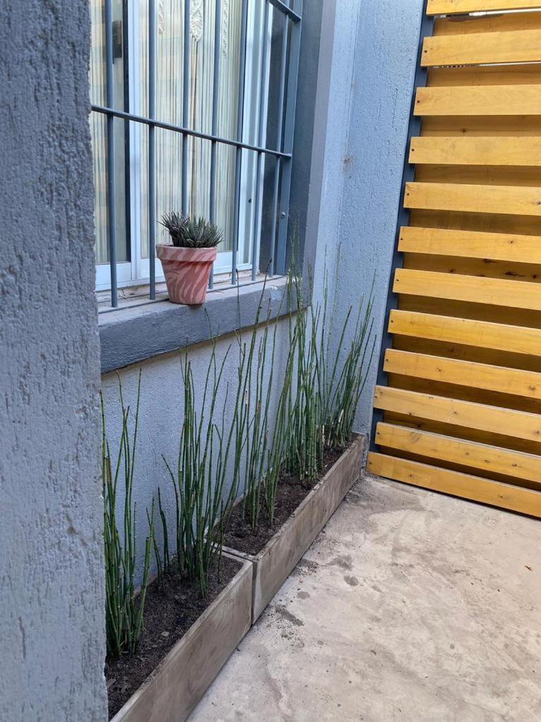 Duplex Mendoza photo 3