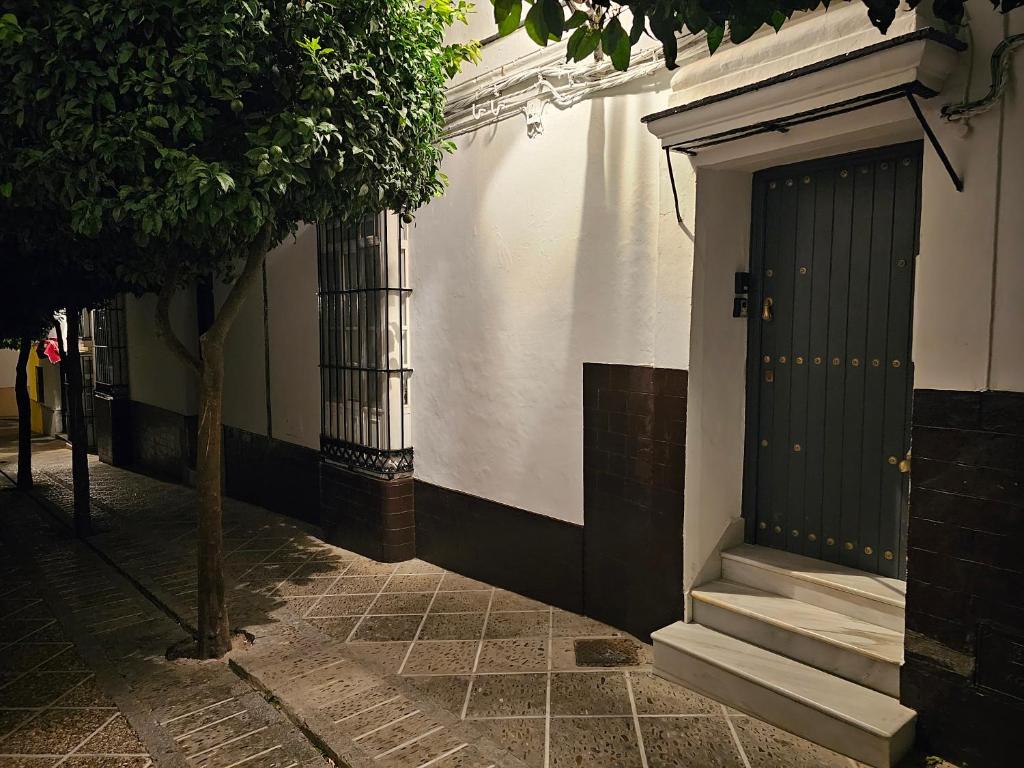 Apartamento Casa Pura photo 3