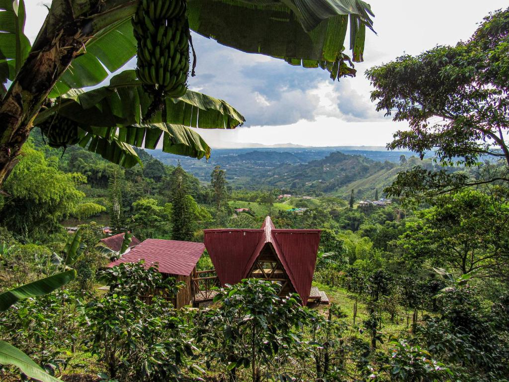 La Cabañita
