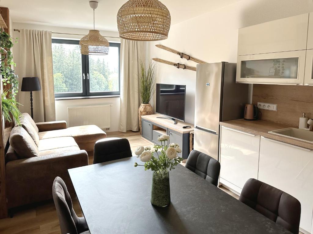 Apartmány Černý důl - Horňák photo 4