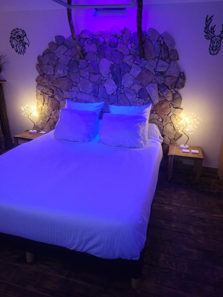 LOVE Room Danslesbois avec spa photo 1