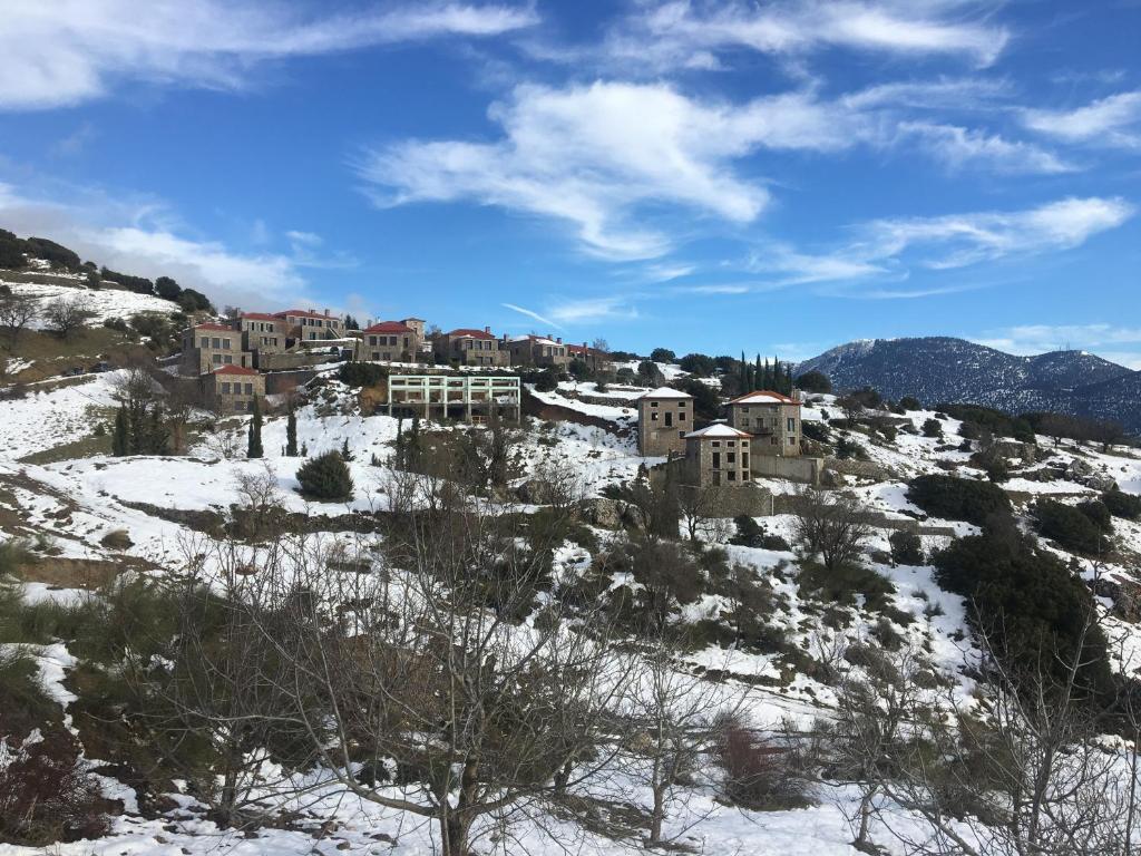 Plethora Arachova Luxury Chalet photo 2