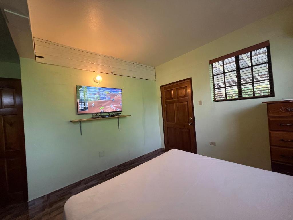 Castlevue B&B photo 4
