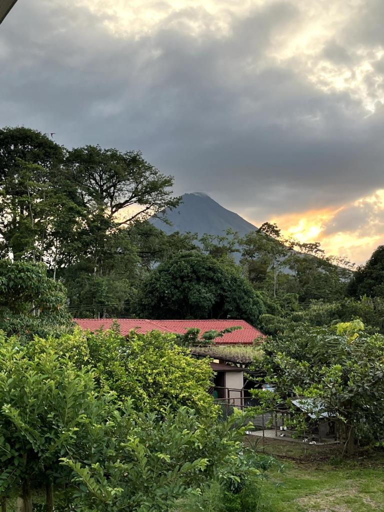 Arenal Sloth Hostel photo 4