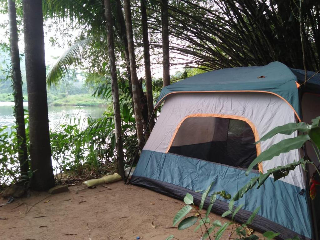 Comfortable Eco Stays in Kitulgala with sightseeing & Adventure activities - Back Kate Resort