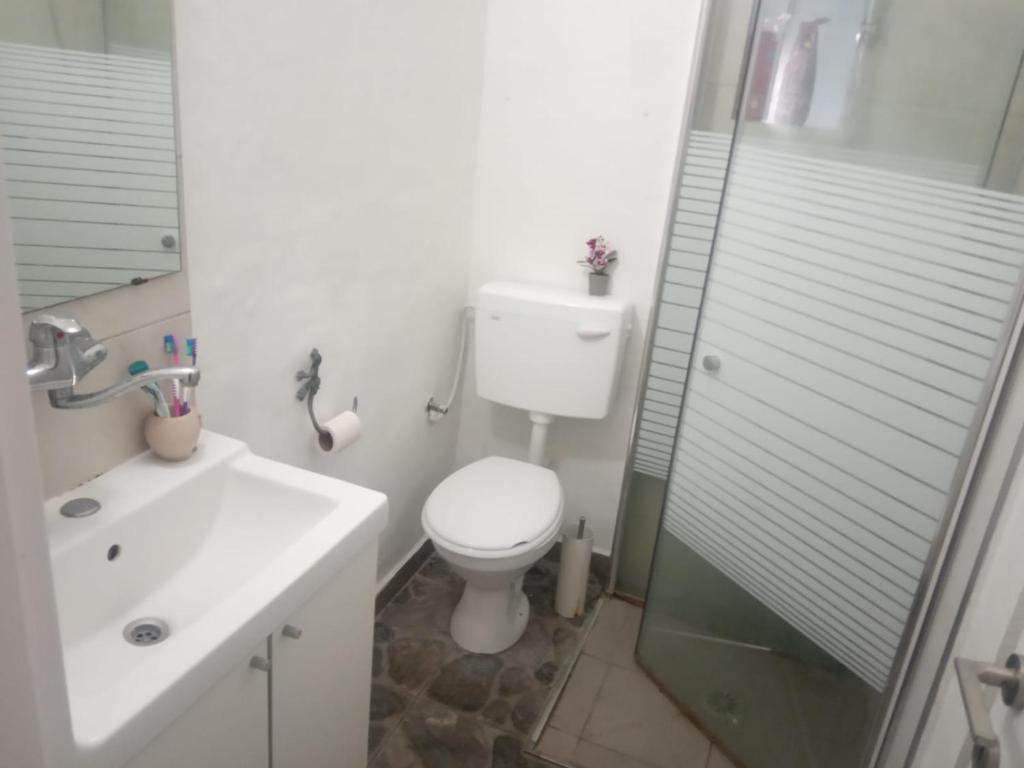 דירת שי photo 2