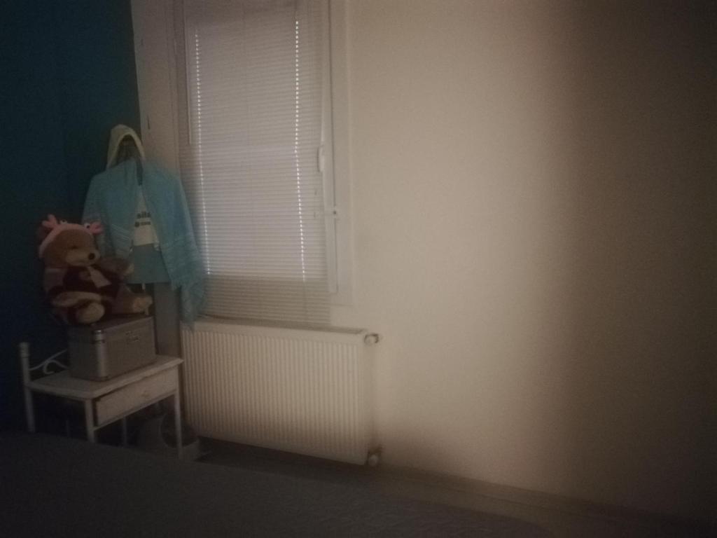 ewwren photo 3