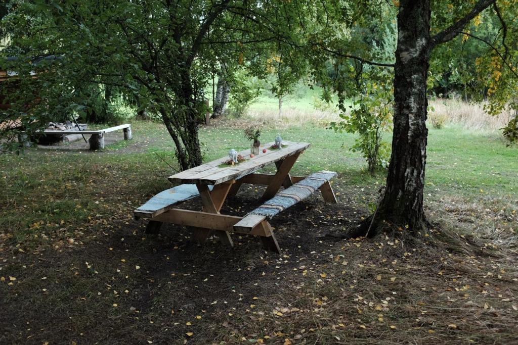 Naawa Nature Camp photo 4