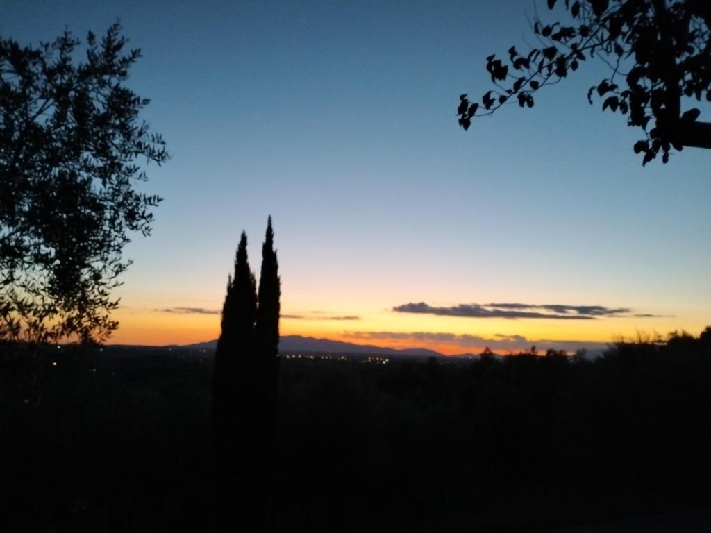 Affittacamere Acquaria-Vinci photo 1