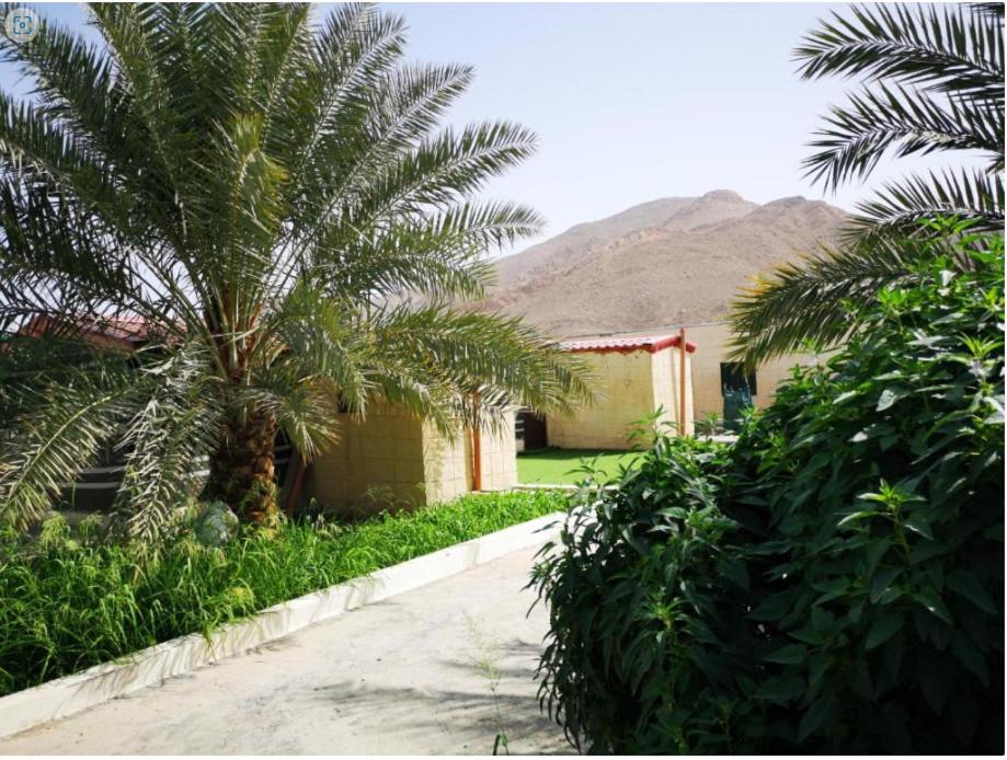 مزرعة نحل العسل photo 2