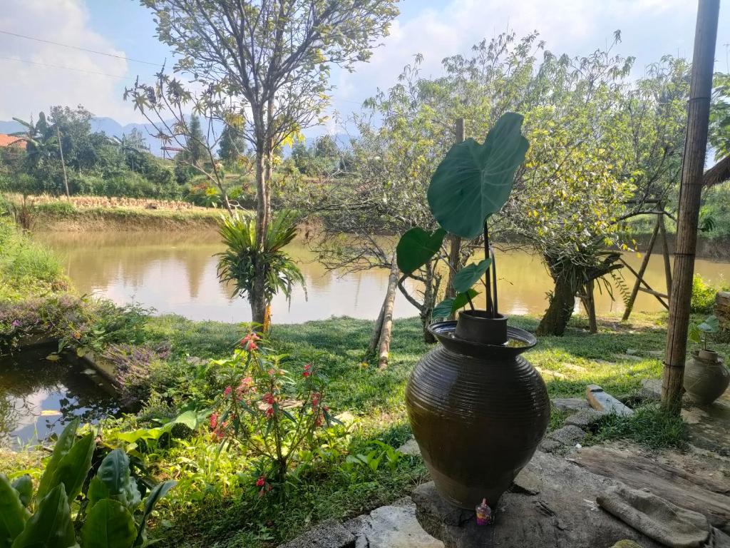 Dồn Dao homestay