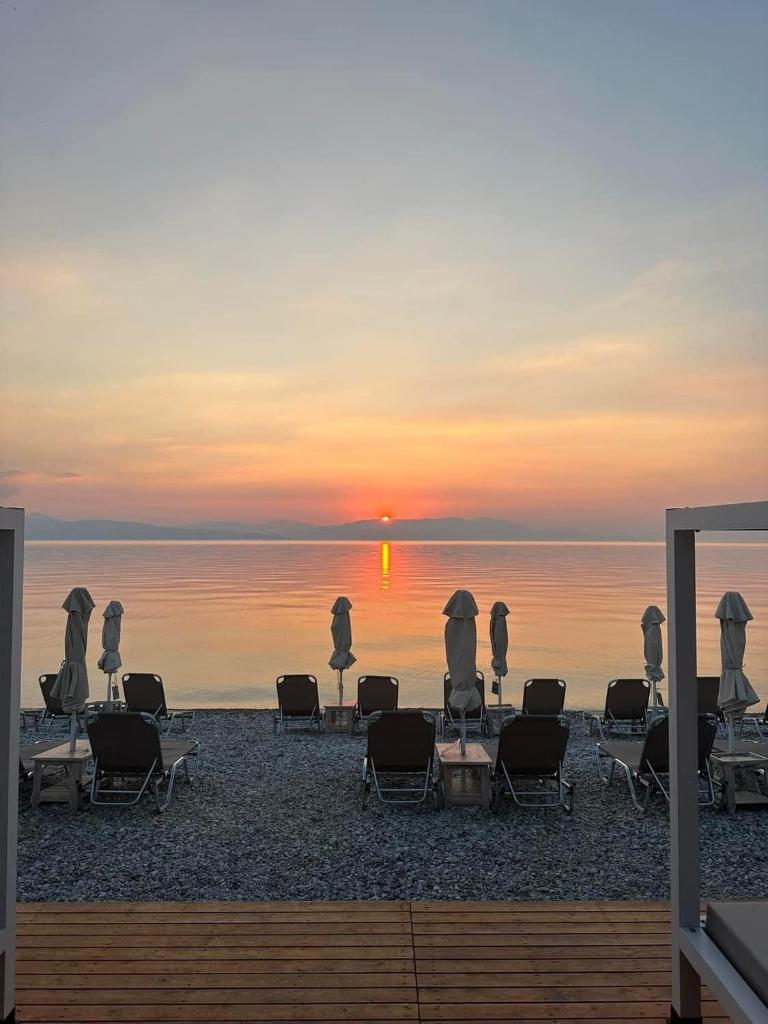Akrata Beach Hotel photo 4