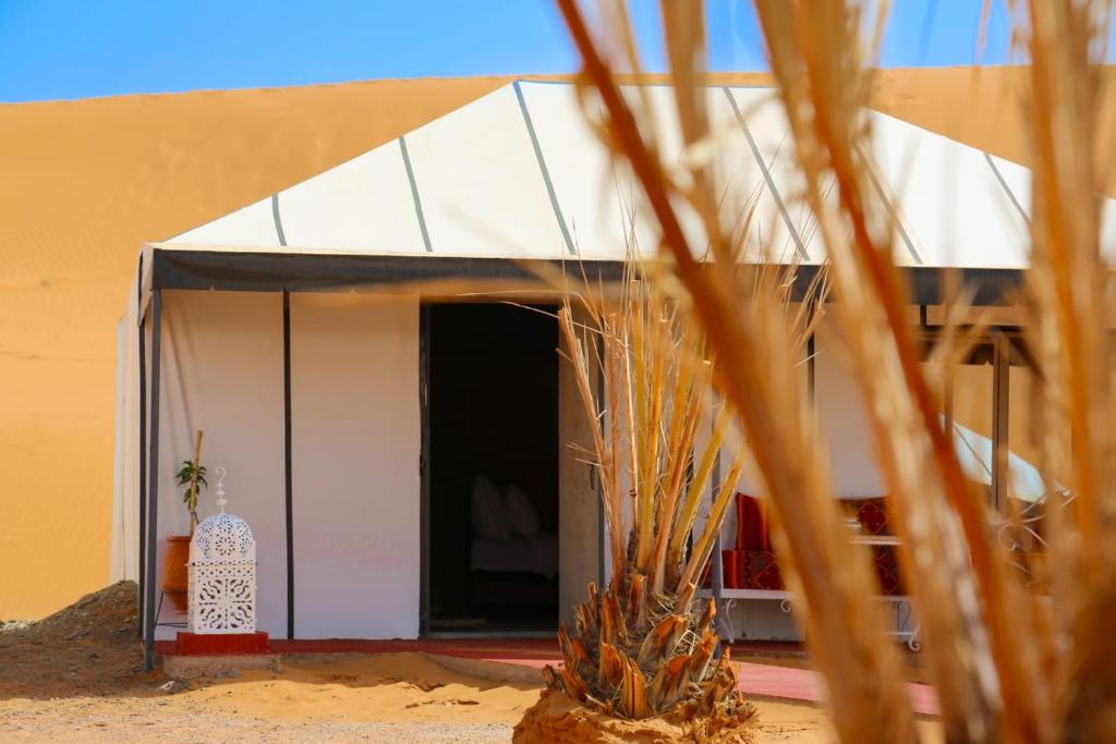 Luxury berber style photo 3