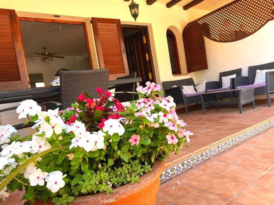Casa Mi Alcazar by SunshineClub photo 2