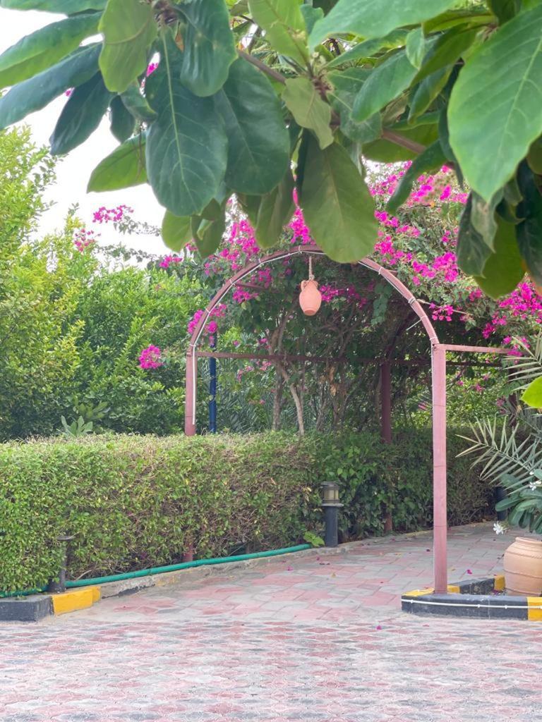 Al Bayan Inn photo 4