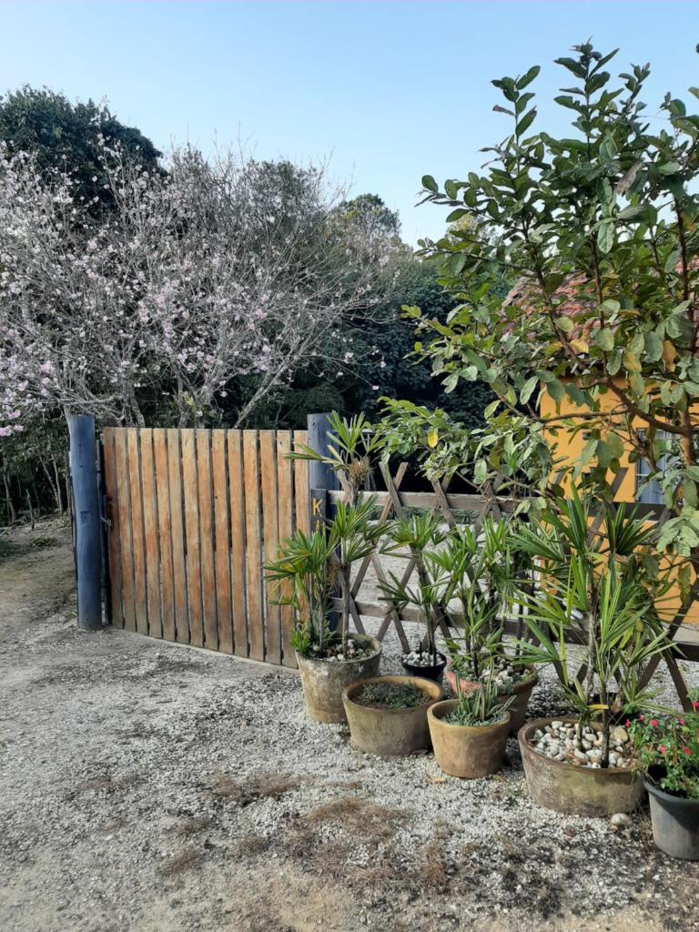 Casa Kiiro, um ambiente tranquilo e de sossego. photo 1