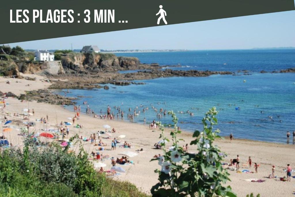 LE GAUGUIN, T2 Cosy, 2-4 Pers, à 300m des plages photo 1