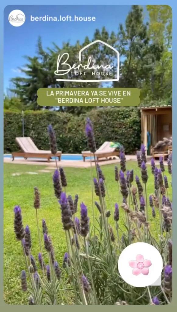 Berdina Loft House, Chacras de Coria photo 1