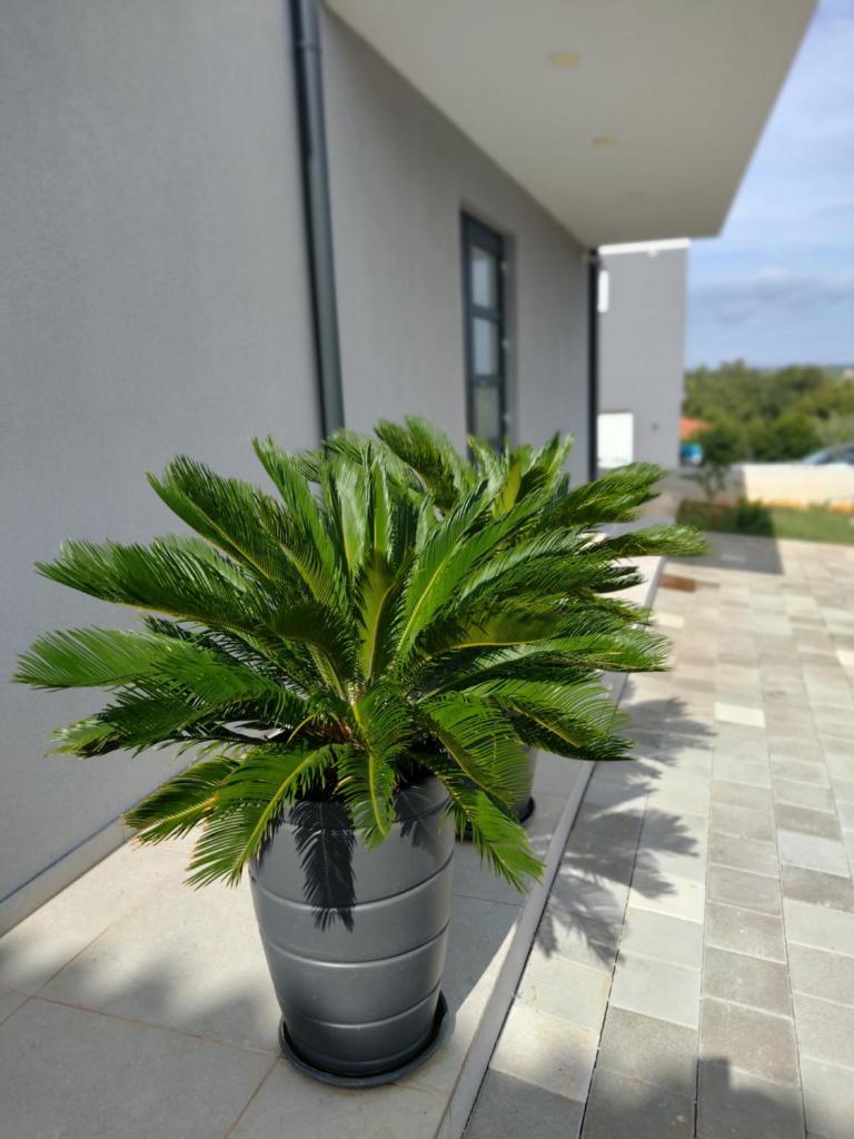 Favoloso Duplex per 6+2 persone, Volme - Banjole, Pula, Croazia photo 2