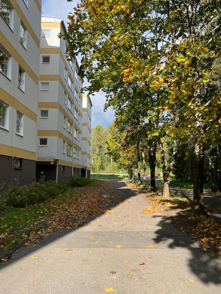 Lovely apartment with free parking photo 1