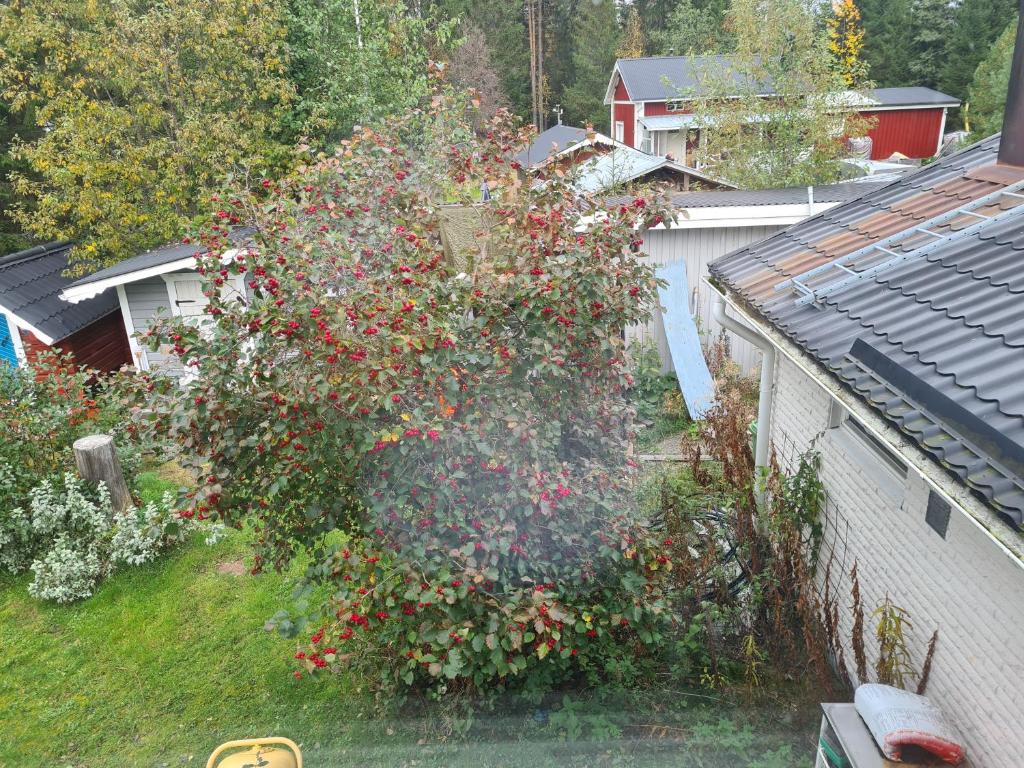 Nära Piteå havsbad photo 4