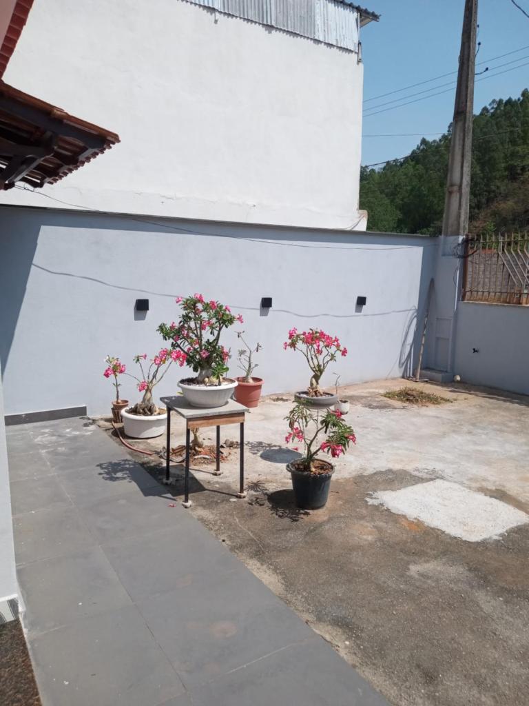 Rosa do deserto photo 3