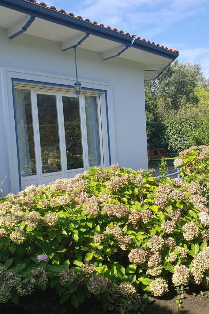 Maison avec jardin clos Capbreton photo 2