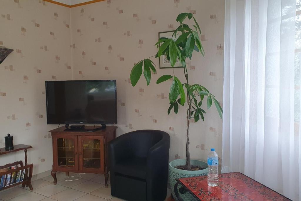 Maison avec jardin clos Capbreton photo 4