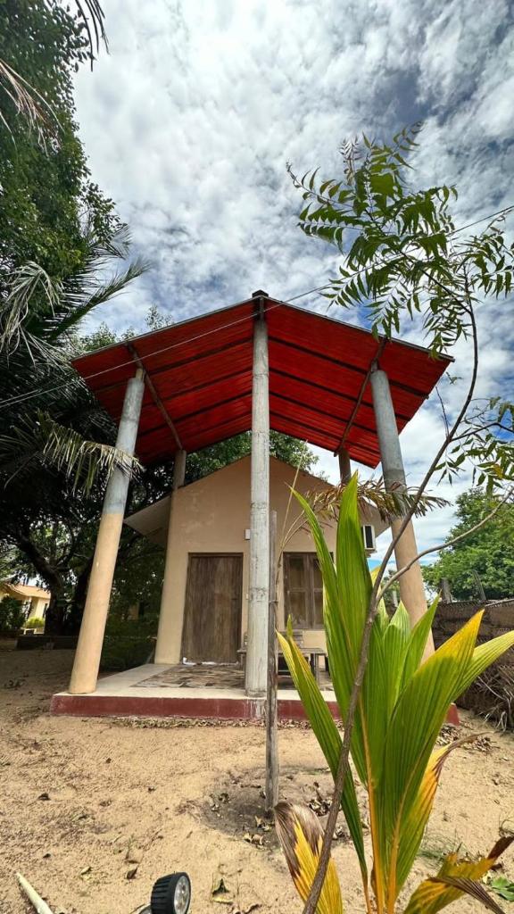 Coconut Bungalows photo 1