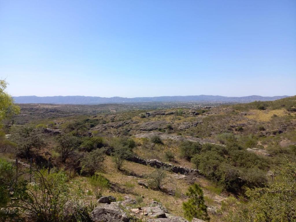 Villa Somena photo 4