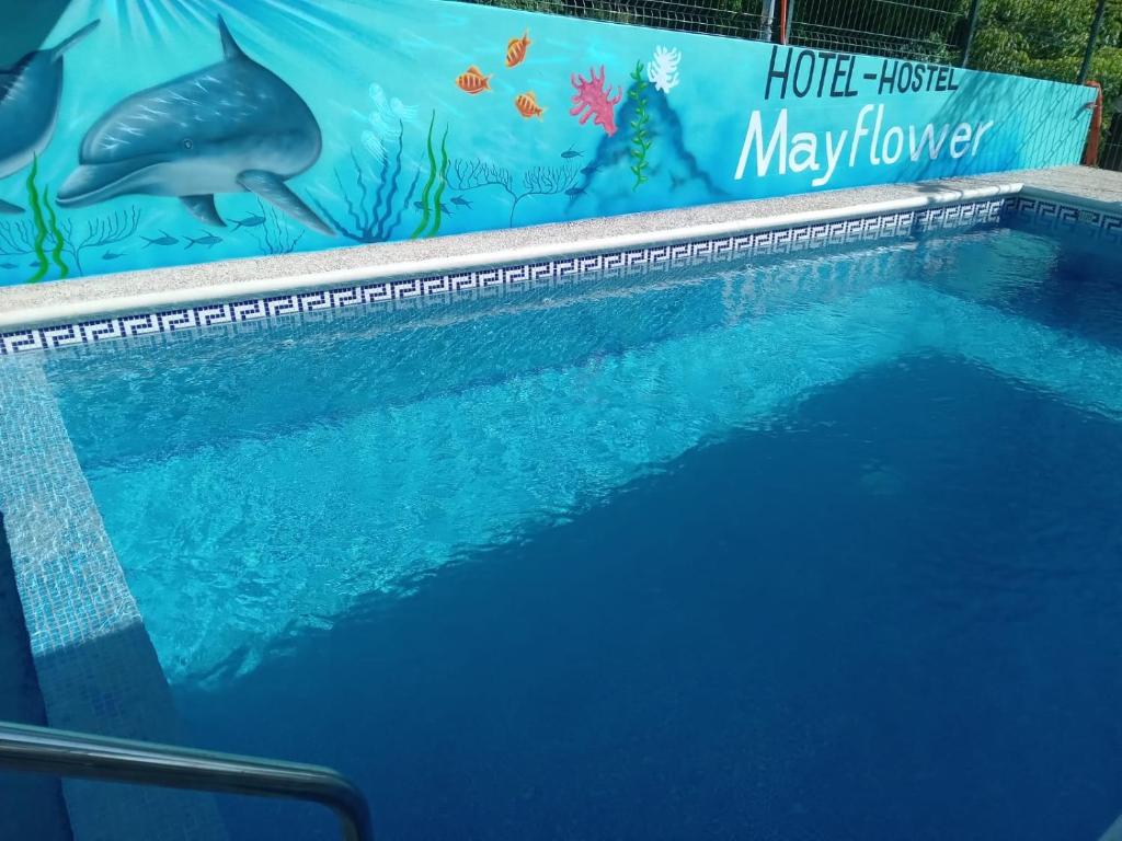 Hotel & Hostal Mayflower photo 4