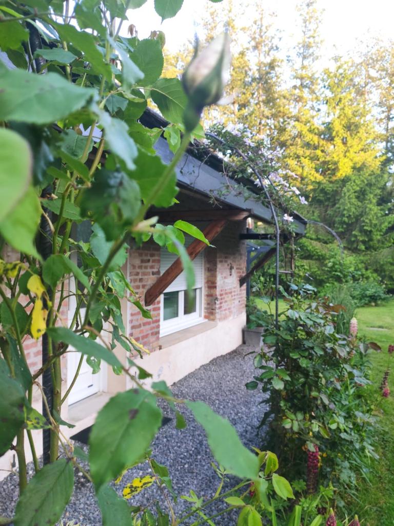 Gîte des Viviers -08400 Manre - de 1 à 2 personnes photo 1