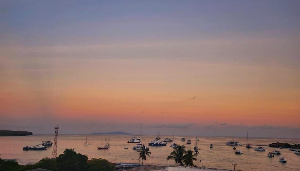 Casa Ocean Pier photo 3
