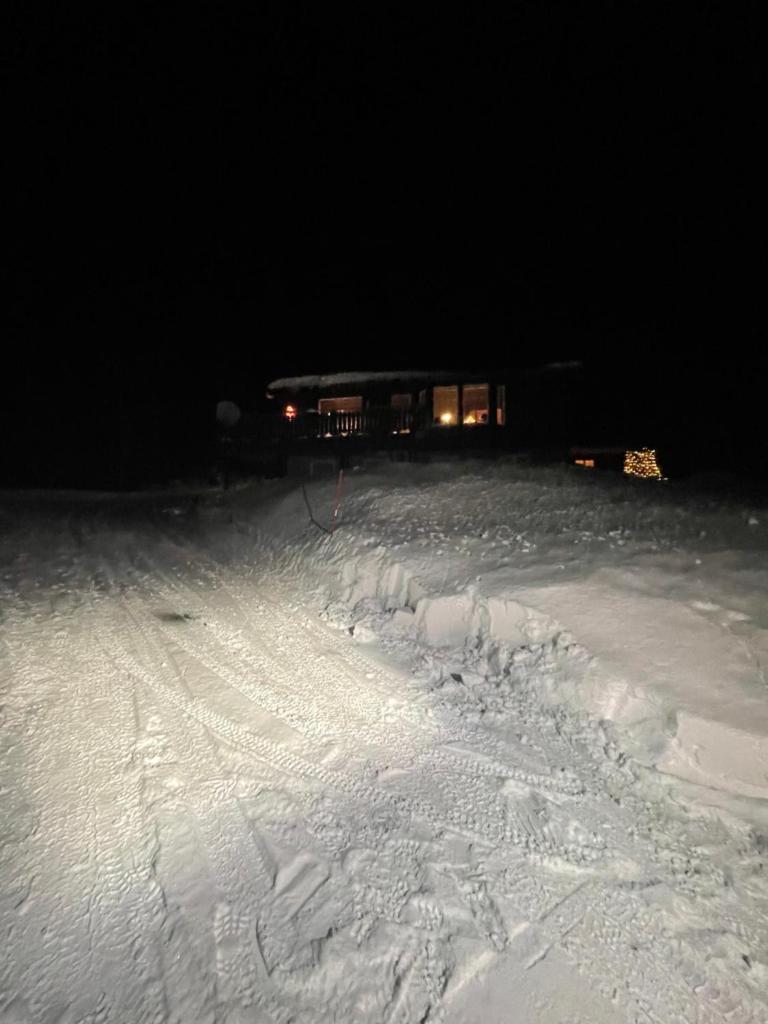 Amezingauroa,Trollstua. Skogsfjordvatnet. photo 2