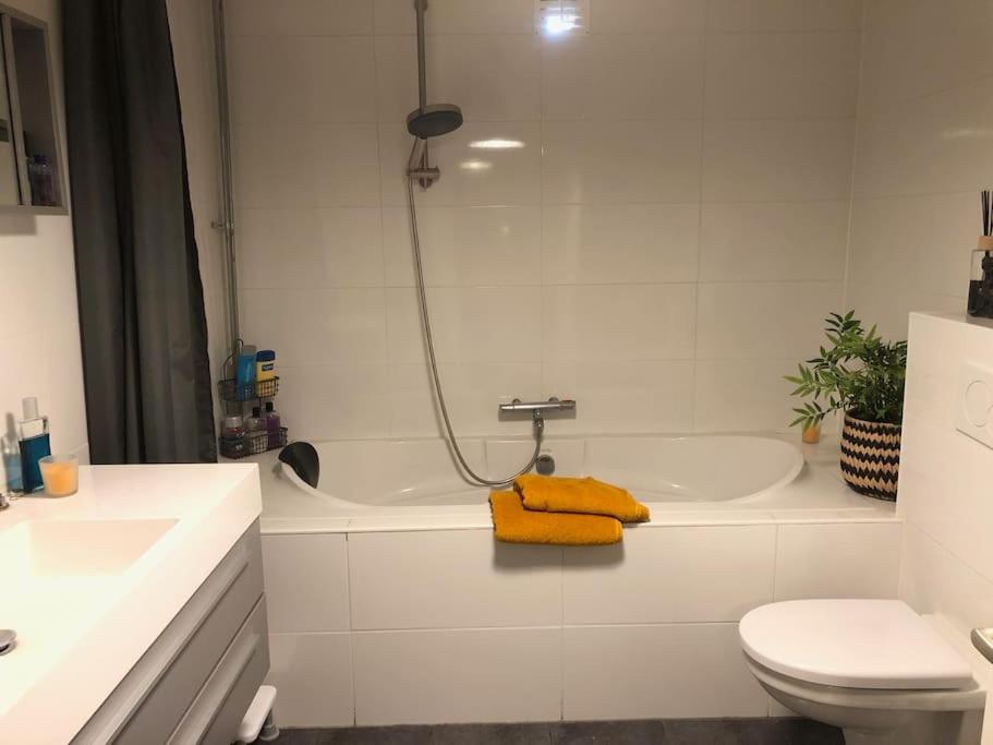Sfeervol loft in Koudum photo 4