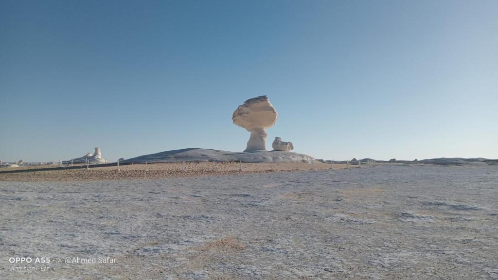 White Desert Safari