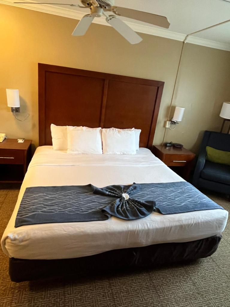 Comfort Inn & Suites Ocean Shores photo 3