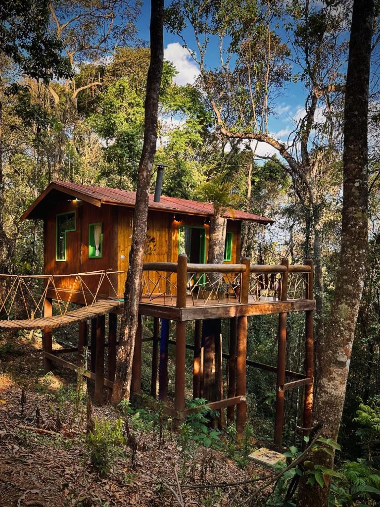 Sequoia Casa na Árvore, Vila Mágica