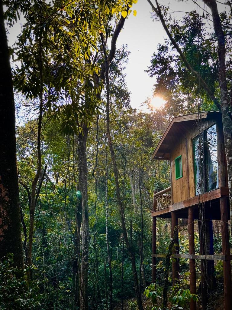 Sequoia Casa na Árvore, Vila Mágica photo 2