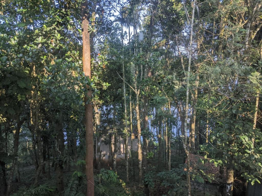 7 Heaven Resorts photo 1