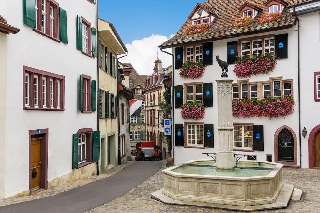 Beautiful Villa in the Heart of Basel - Tap to explore photos