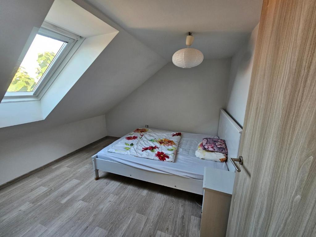 Velký dům s krásnou zahradou photo 4