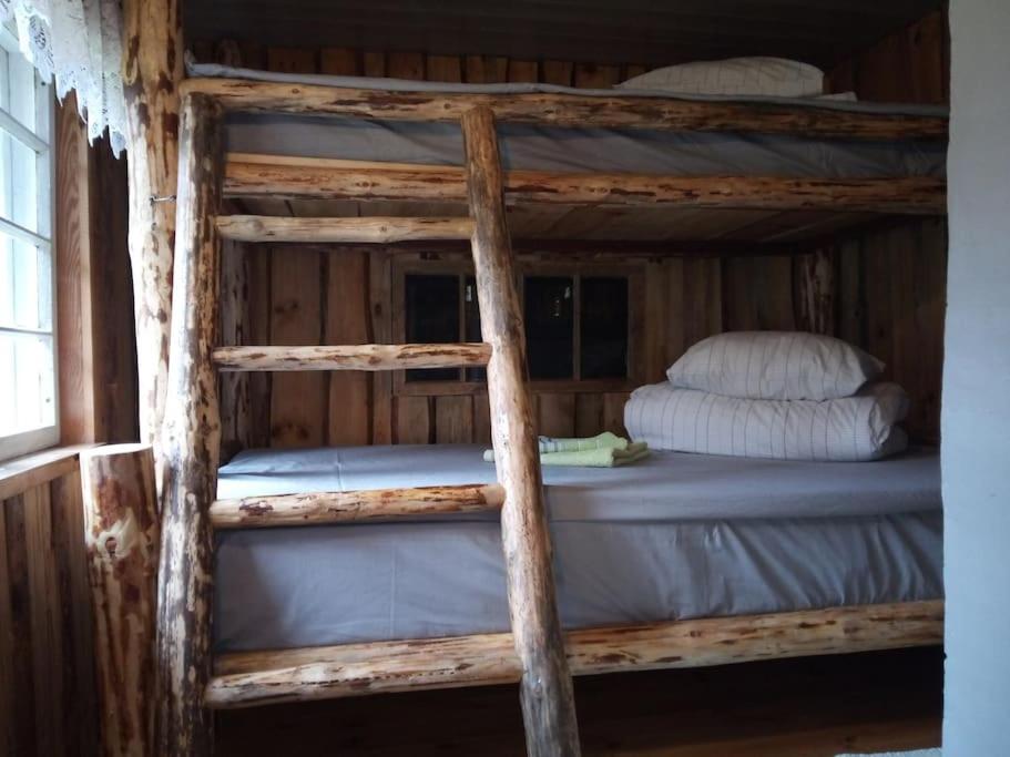 Tiny Cozy House photo 3