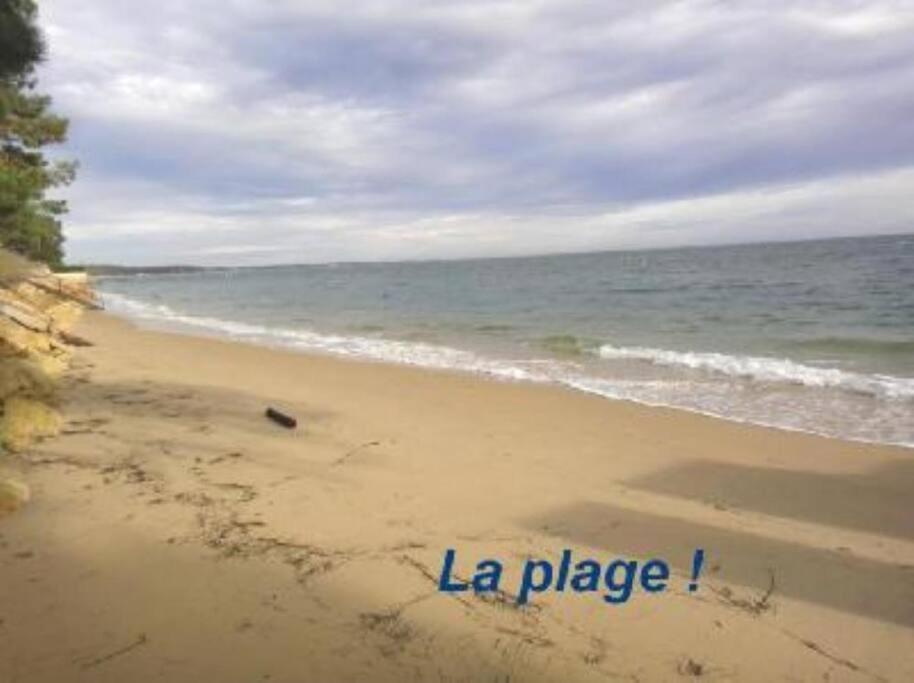 Cap-Ferret -Très grande maison famille- plage 150m photo 4